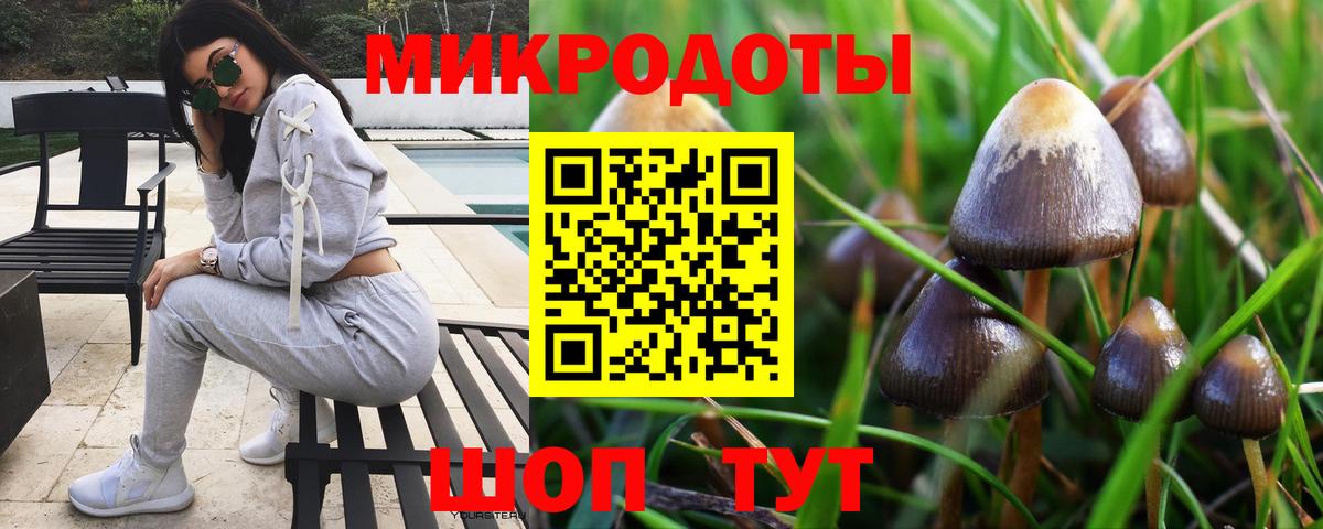Галлюциногенные грибы Psilocybe  Галлюциногенные грибы мицелий  купить   Елабуга  Вход с VPN 