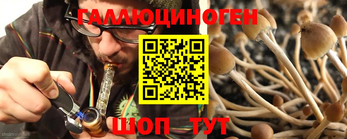 Псилоцибиновые грибы прущие грибы Елабуга